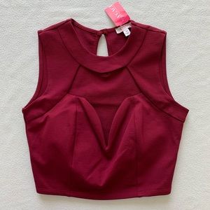 Agaci Dark Red Wired V-neck Plunge Crop Top